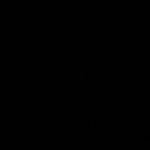 Meet your Posher, Chloe - Picture 1 of 1